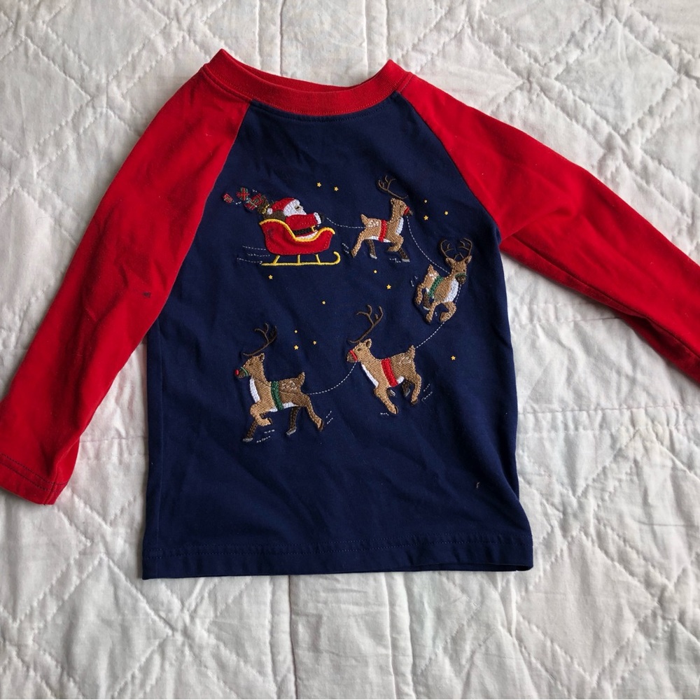 Santa and Reindeer Embroidered Christmas Shirt